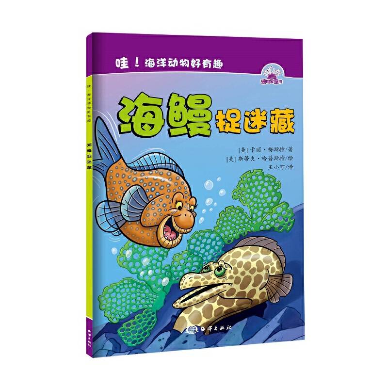 哇！海洋动物好有趣--- 海鳗捉迷藏