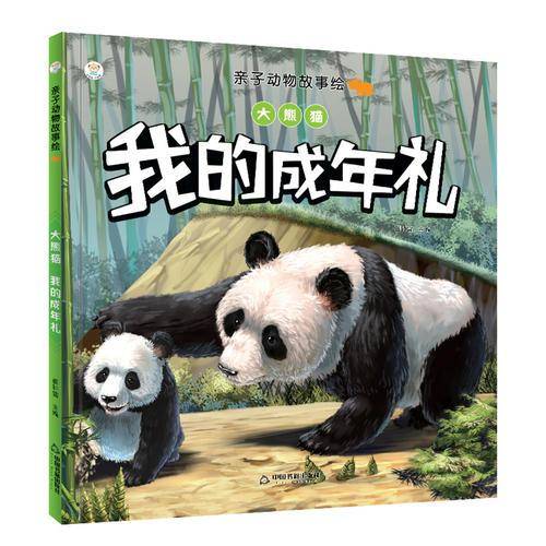 大熊猫：我的成年礼