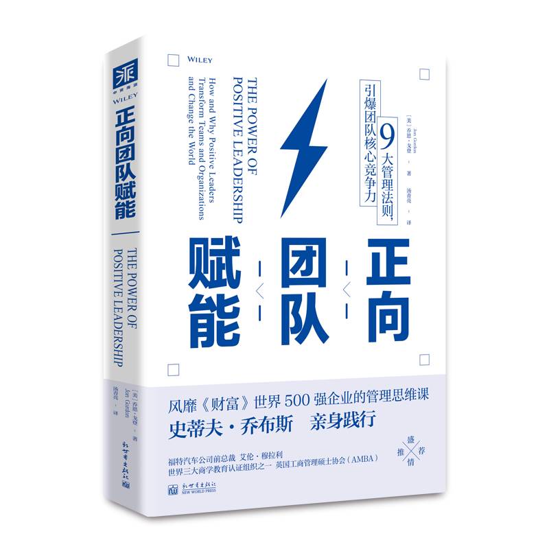 正向团队赋能: 9大管理法则，引爆团队核心竞争力