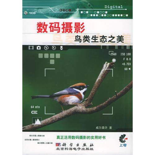 数码摄影
