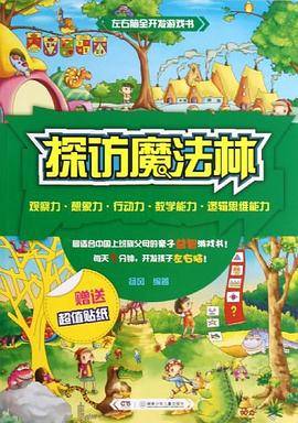 左右脑全开发游戏书