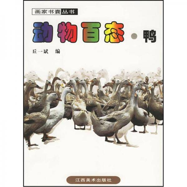 动物百态・鸭
