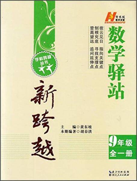 学科跨越丛书・数学驿站新跨越：九年级（全一册）