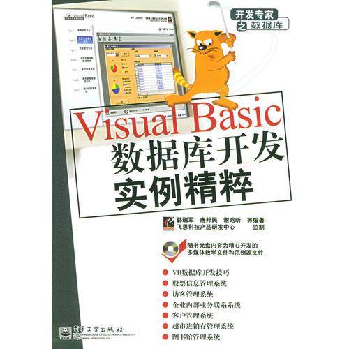 Visual Basic数据库开发实例精粹——开发专家之数据库