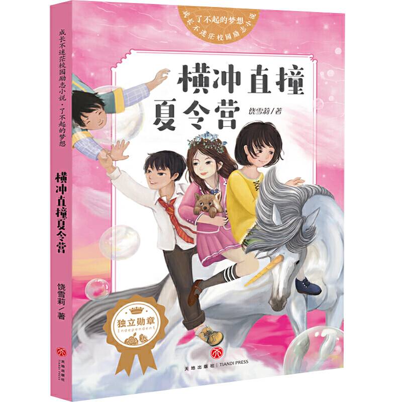 成长不迷茫校园励志小说 了不起的梦想 横冲直撞夏令营