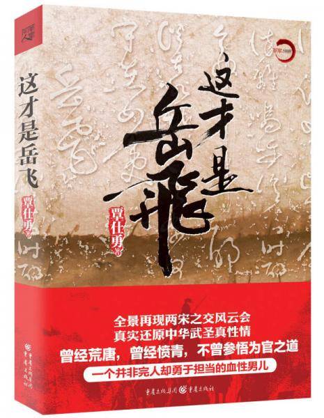 这才是岳飞