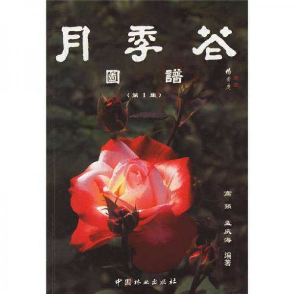月季花图谱.第1集