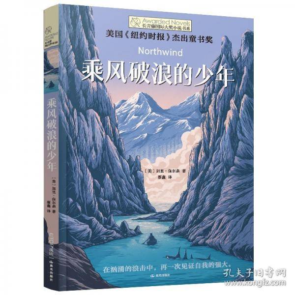 长青藤书系第十八辑：乘风破浪的少年