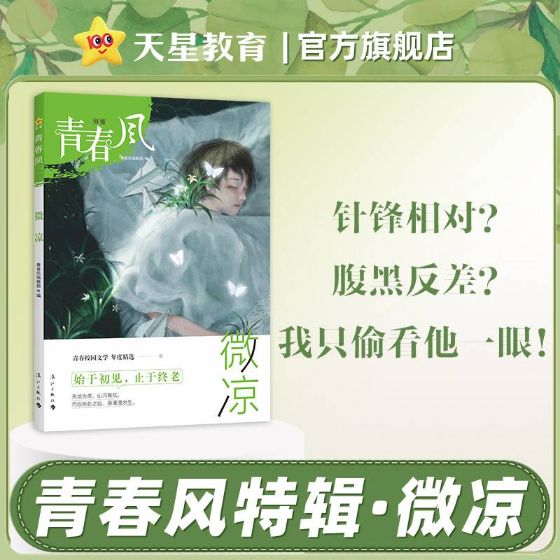 青春风特辑微凉（年刊）疯狂阅读2024年新版天星教育