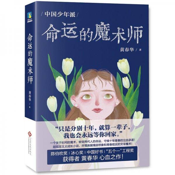 中国少年派：命运的魔术师