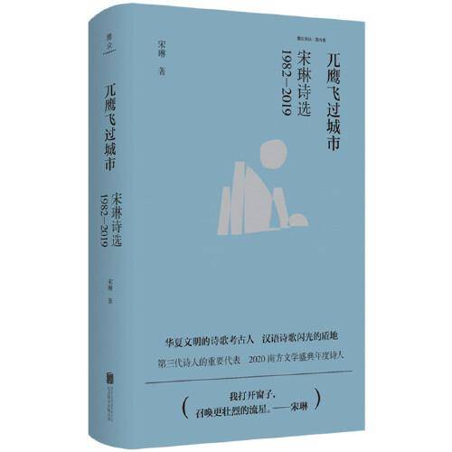 兀鹰飞过城市：宋琳诗选1982—2019