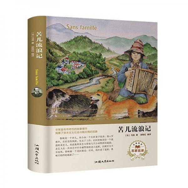 苦儿流浪记（名家名译）