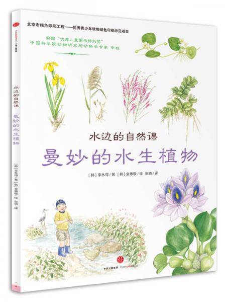 曼妙的水生植物