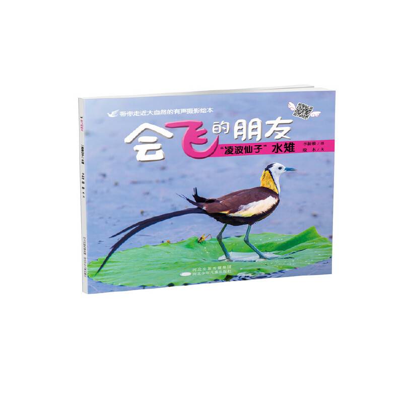 凌波仙子水雉-会飞的朋友
