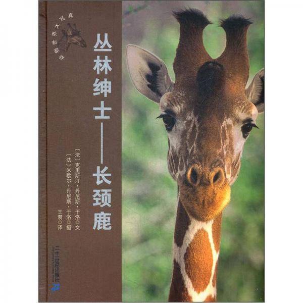丛林绅士