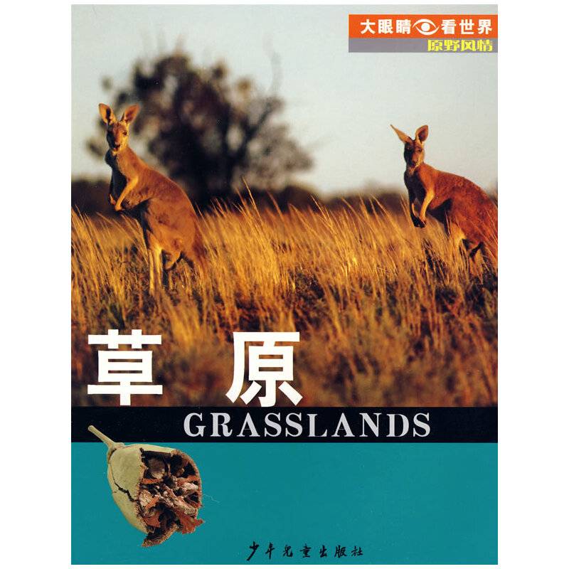 草原-原野风情