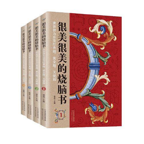 很美很美的烧脑书(世界智力开发经典题黄金题关键题共4册)