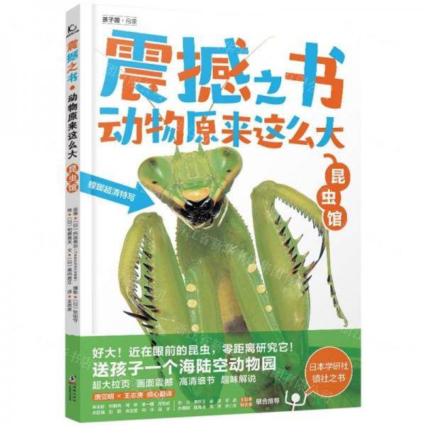 震撼之书