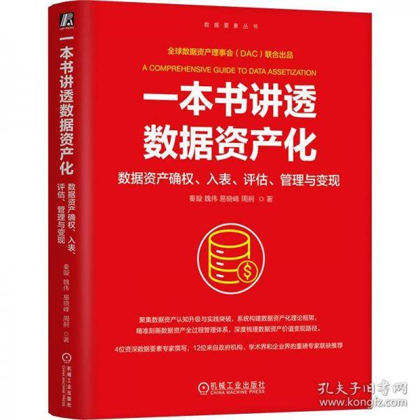 一本书讲透数据资产化 数据资产确权、入表、评估、管理与变现