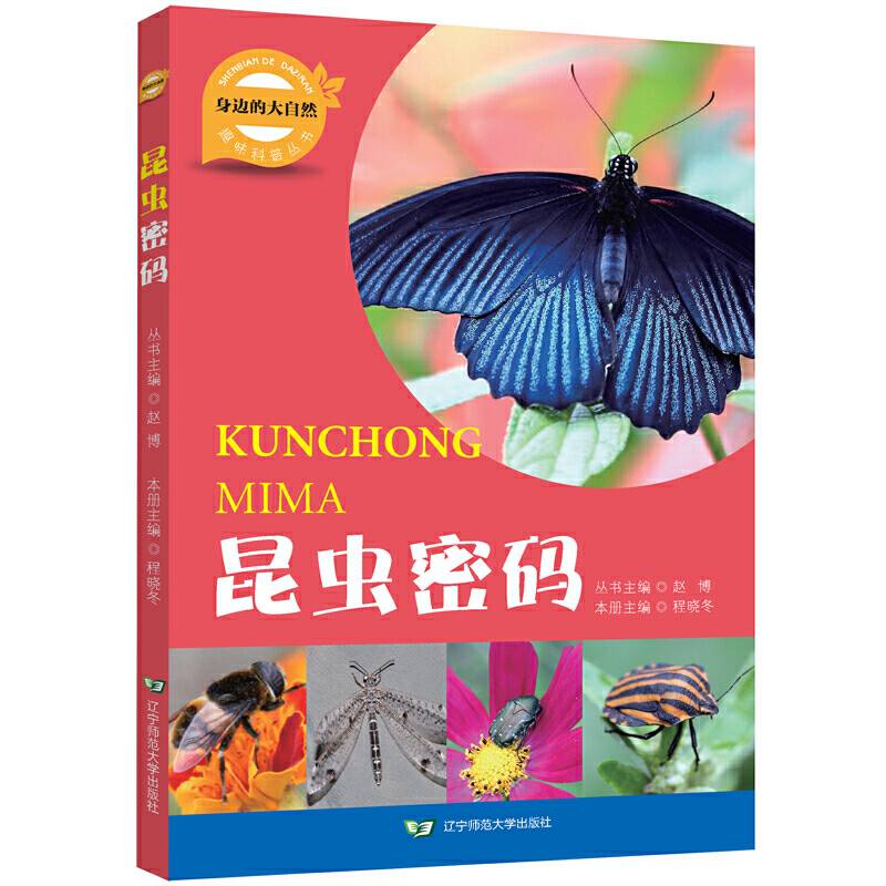 昆虫密码