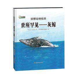世所罕见-灰鲸