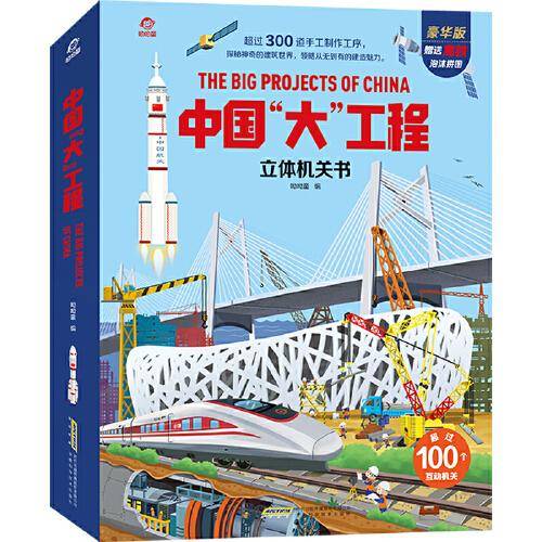 中国“大”工程