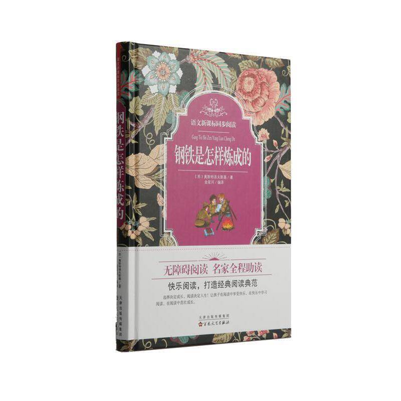 钢铁是怎样炼成的