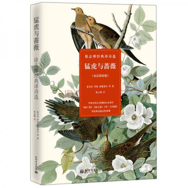 猛虎与蔷薇