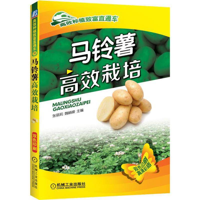 马铃薯高效栽培