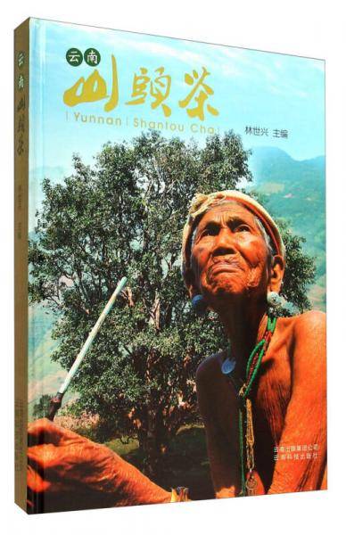 《云南山头茶》