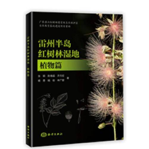 雷州半岛红树林湿地：植物篇