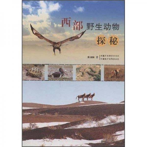 西部野生动物探秘