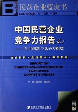 中国民营企业竞争力报告No.3