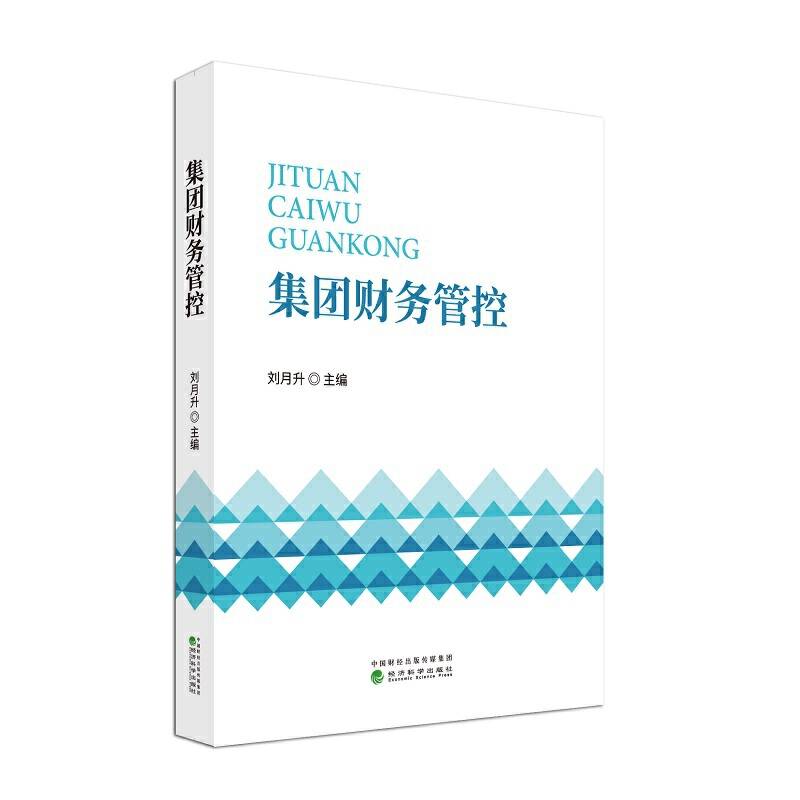集团财务管控