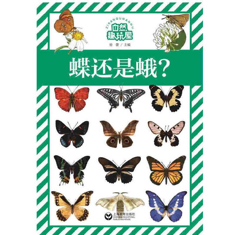 蝶还是蛾？