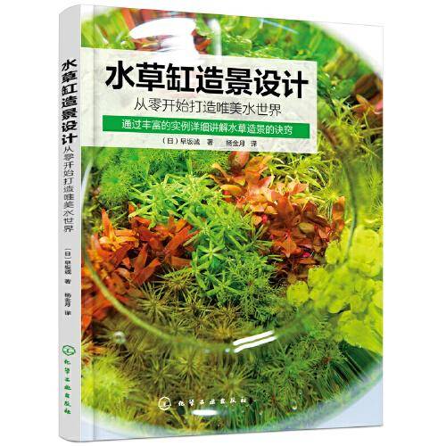 水草缸造景设计：从零开始打造唯美水世界