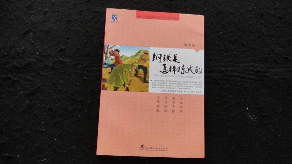 钢铁是怎样炼成的