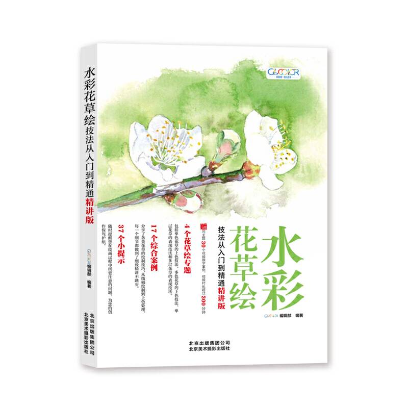水彩风景绘技法从入门到精通