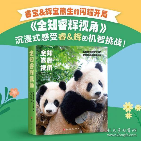 全知睿辉视角
