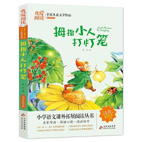 拇指小人打灯笼 名家儿童文学作品阅读 小学语文课外拓展阅读