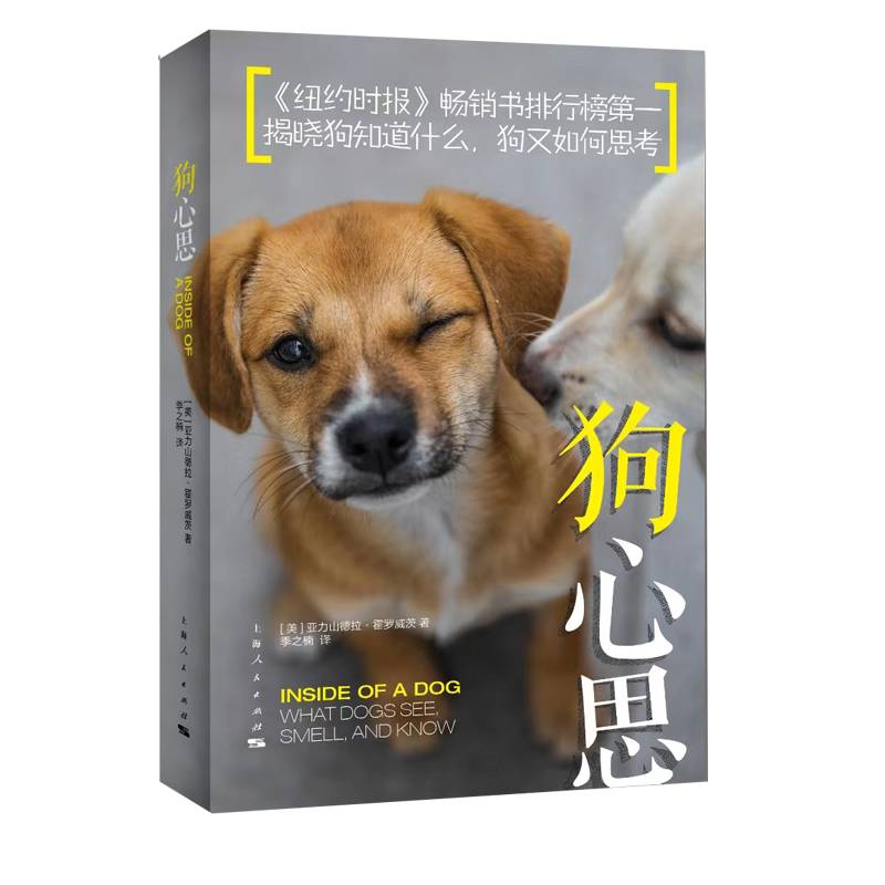狗心思