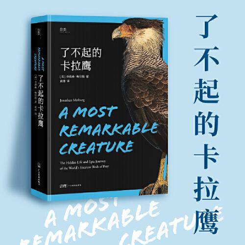 【贝页】了不起的卡拉鹰