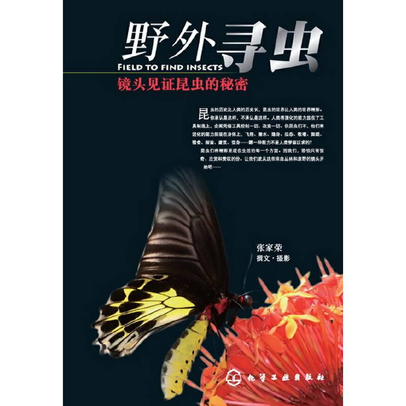 野外寻虫