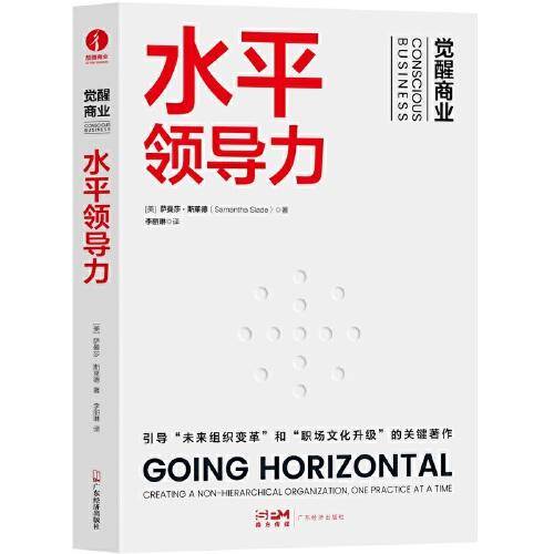 水平领导力