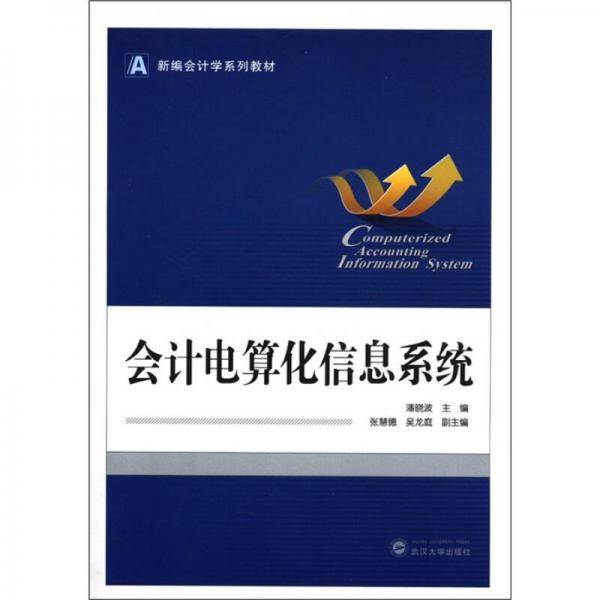 会计电算化信息系统