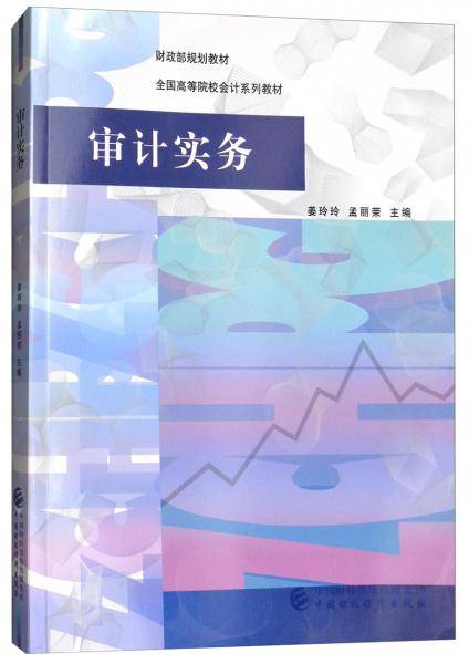 审计实务/全国高等院校会计系列教材