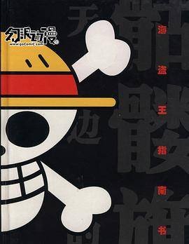 海盗王指南书