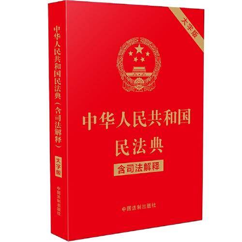 中华人民共和国民法典大字版•含司法解释