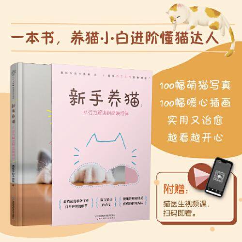 新手养猫：从行为解读到温暖相伴