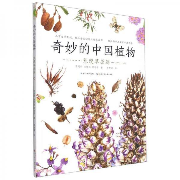 奇妙的中国植物(荒漠草原篇)